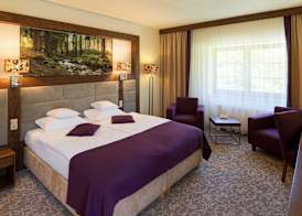 Hotel Mercure Krynica Zdrój Resort&Spa 2