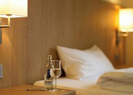 Berghotel Hohe Mark 4
