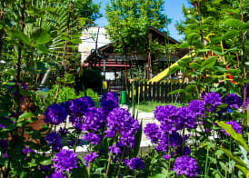 Hotel Trakia Garden 4