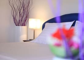 Les Amaryllis Saly 3