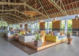 The Ravenala Attitude 2