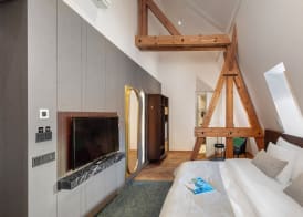 Mottl House by Adrez 2