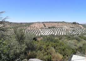 Hotel Sierra de Araceli 2