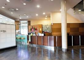 Sercotel Las Artes Pinto 3