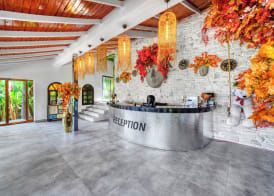Illusion Beach Club Hotel +16 Only Adult 3