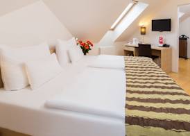 Hotel Páv 4