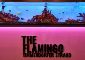 The Flamingo 2