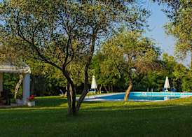Saint Nicholas Hotel 3