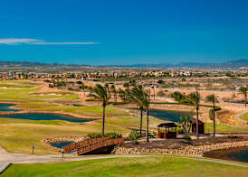 Hacienda Del Alamo Golf & Spa Resort 4
