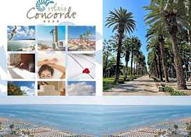 Relais Concorde 3