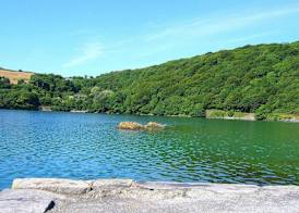 Rathmore House Bed & Breakfast 3
