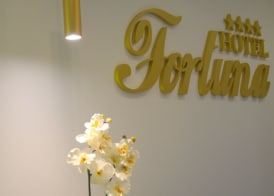 Hotel Fortuna 3