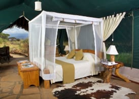 Kibo Safari Camp 2