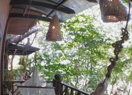 Viking Nature Resort 3