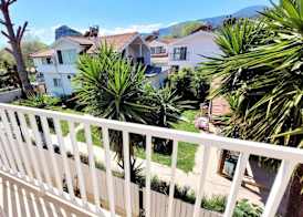 Arp Dalyan 5