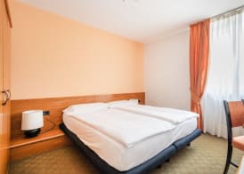 Hotel Alpina 5