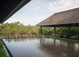 Komaneka at Bisma Ubud 2