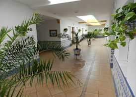 Apartamentos Conil Alquila 4