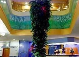 KAKTUS Hotel Kaktus Albir 2