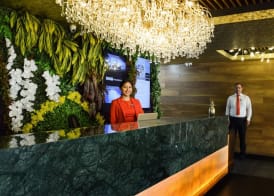 TRYP by Wyndham Santa Cruz 4