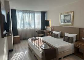 Euro Plaza Hotel 3