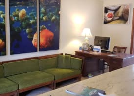 Antigua Superyacht Marina & Resort 2