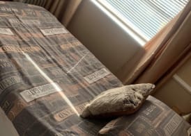 2 Bed Flat - Sleeps 3 - Parking - Wifi 2