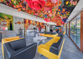 Illusion Beach Club Hotel +16 Only Adult 2
