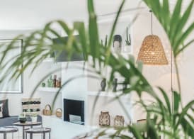 Hotel Boutique & Spa Las Mimosas Ibiza 4