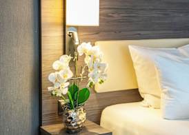 PLAZA Hotel Buchhorner Hof 3