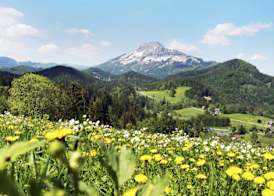 JUFA Hotel Annaberg 2