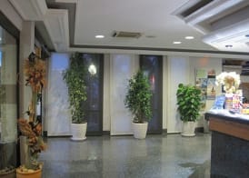 Aparthotel Nereida 3