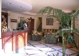 Hotel Stella 2000 3