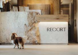 Hotel Recort - Adults Only 3