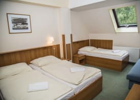 Parkhotel Harrachov 3