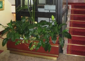 Hotel Residence 5