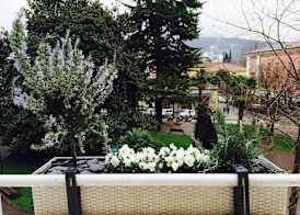 Hotel Giardino Verdi 3