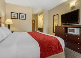 Comfort Inn & Suites North Tucson Marana 5