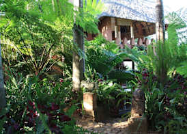 Timamoon Lodge 3