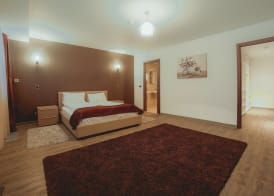 Silver Mountain Resort & Spa 3