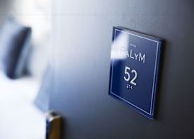 Palym 4