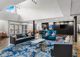 Comfort Suites Columbia at Harbison 2