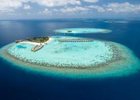 OUTRIGGER Maldives Maafushivaru Resort 4
