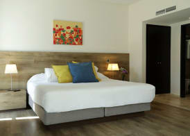 Mod Hotels Mendoza 5