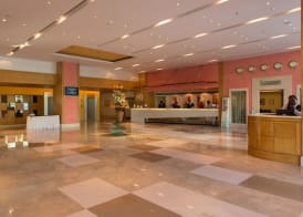 The Chancery Pavilion 2
