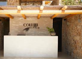 Collini Hotel Mykonos, WorldHotels Elite 4