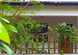 Hotel Village Vacances Awale Plage 5