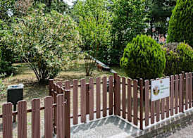 Continental Terme Hotel 2