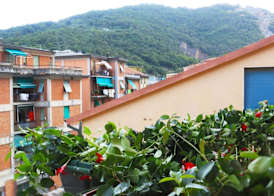 Hotel Le Grazie 5