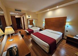 Luna Hotel Lago Maggiore Arona 4